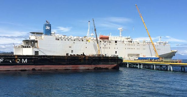 Alimentos El Globo participó en exportación de vaquillas a China